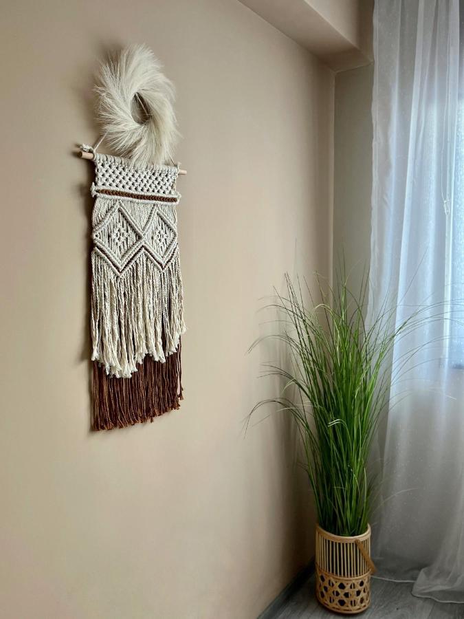 Boholand Apartment Braşov Eksteriør bilde